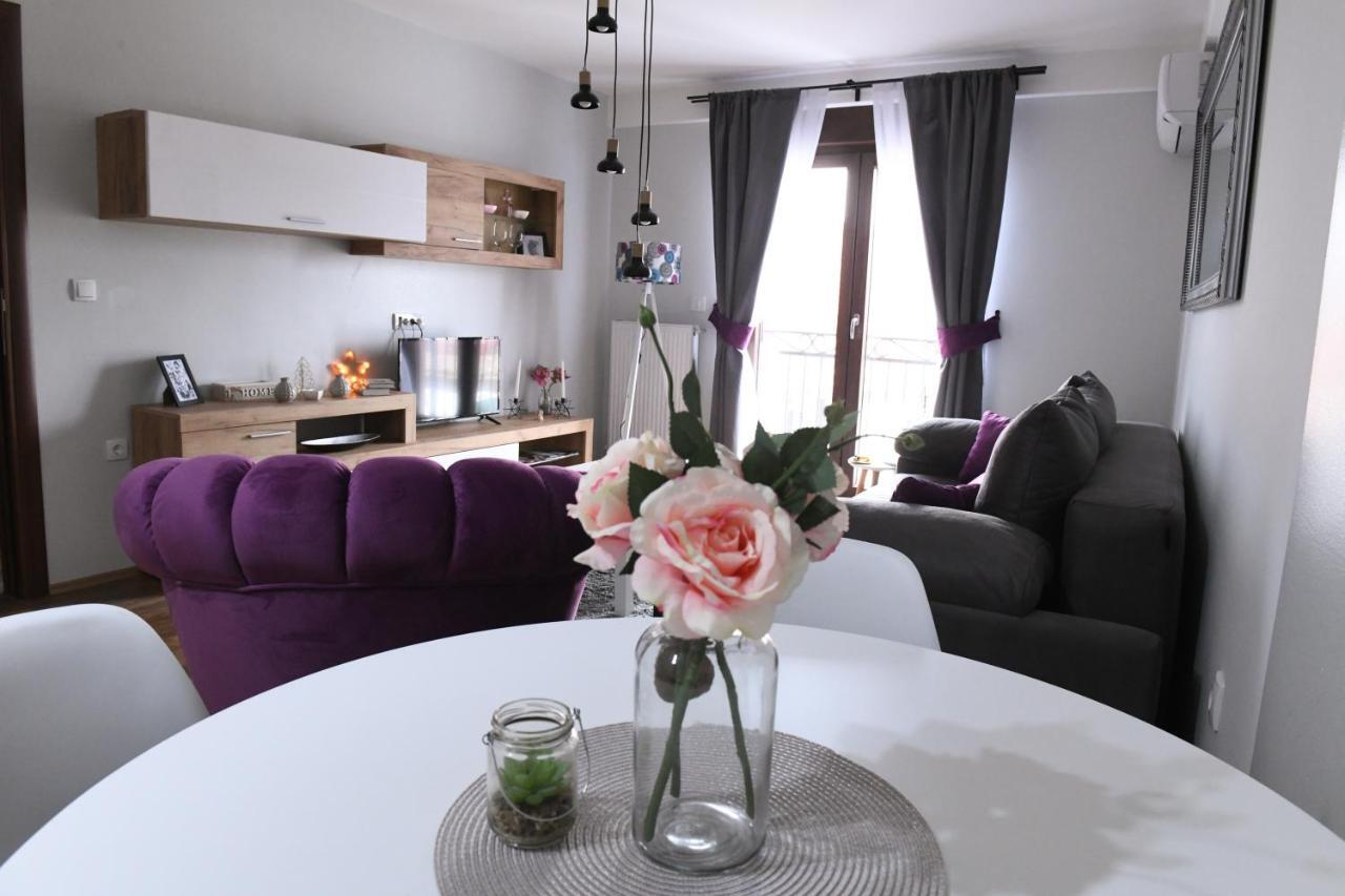 נובי פאזאר Apartman Filip מראה חיצוני תמונה